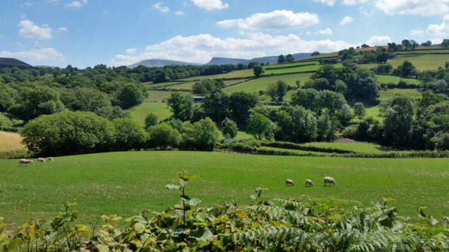 View from Barn