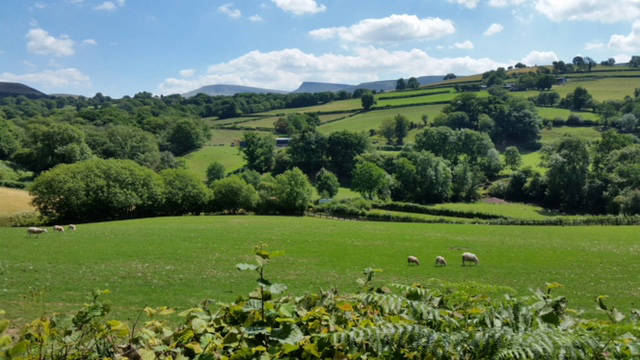 View from Barn